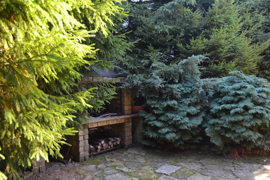 Chata Dolce Trutnov Room photo